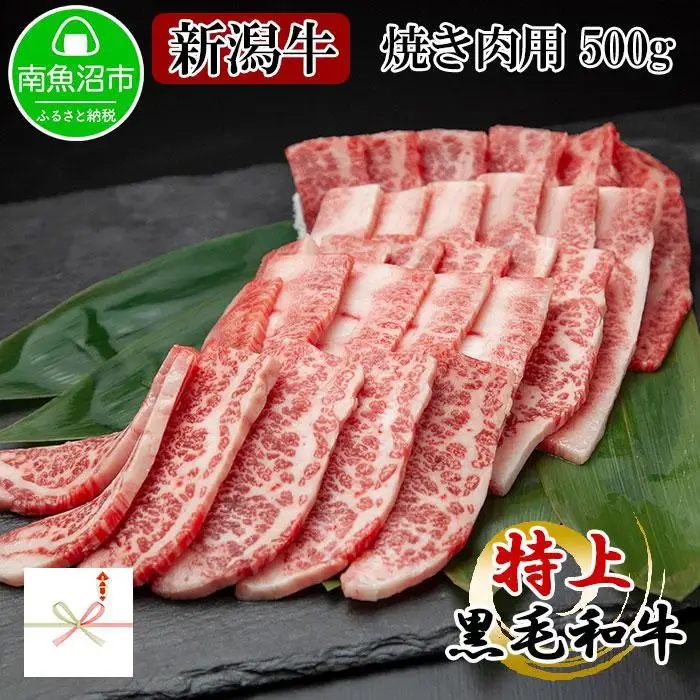 【無地熨斗】新潟和牛 南魚沼産 にいがた 黒毛和牛 焼き肉用 500ｇ 新潟県 南魚沼市｜贈答