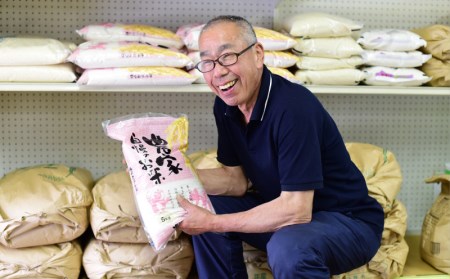 コシヒカリ 5kg 令和7年産 米