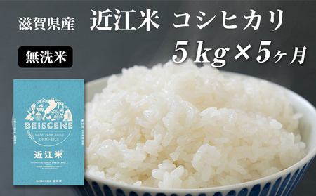 コシヒカリ お米 5kg 無洗米 定期5ヶ月 コシヒカリ