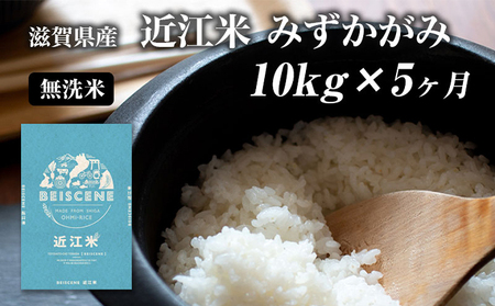 お米 みずかがみ 10kg 無洗米 定期便 5ヶ月 お米