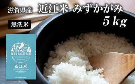 お米 みずかがみ 5kg 無洗米 特A 令和7年産 お米