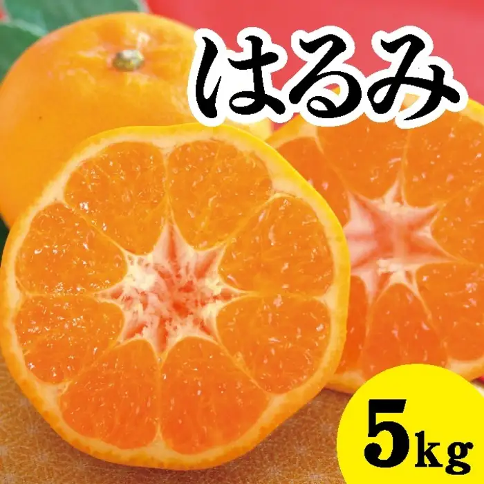 みかん 柑橘【先行受付】【2027年2月以降発送】甘くてジューシー！瀬戸内さぎしまのはるみ ＜約5kg＞ 広島 三原 佐木島 鷺島みかんじま みかん 017022