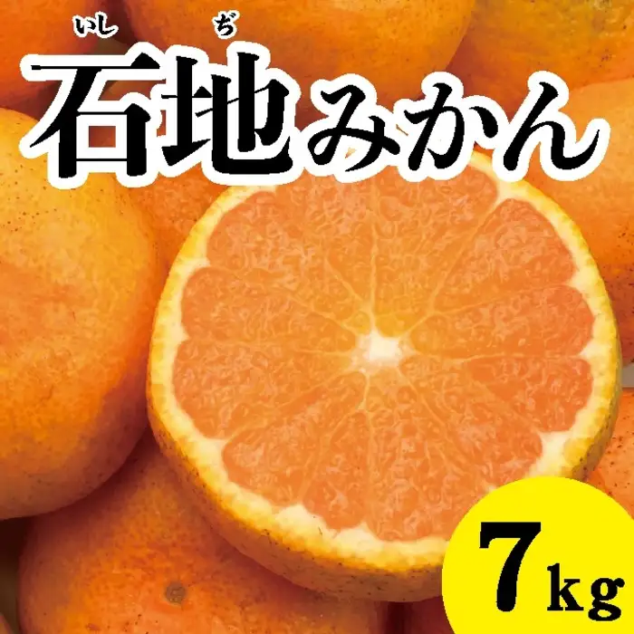 みかん 柑橘【先行受付】【2026年12月以降発送】糖度が高く濃厚！石地みかん〈約7kg〉広島 三原 佐木島 鷺島みかんじま 017017