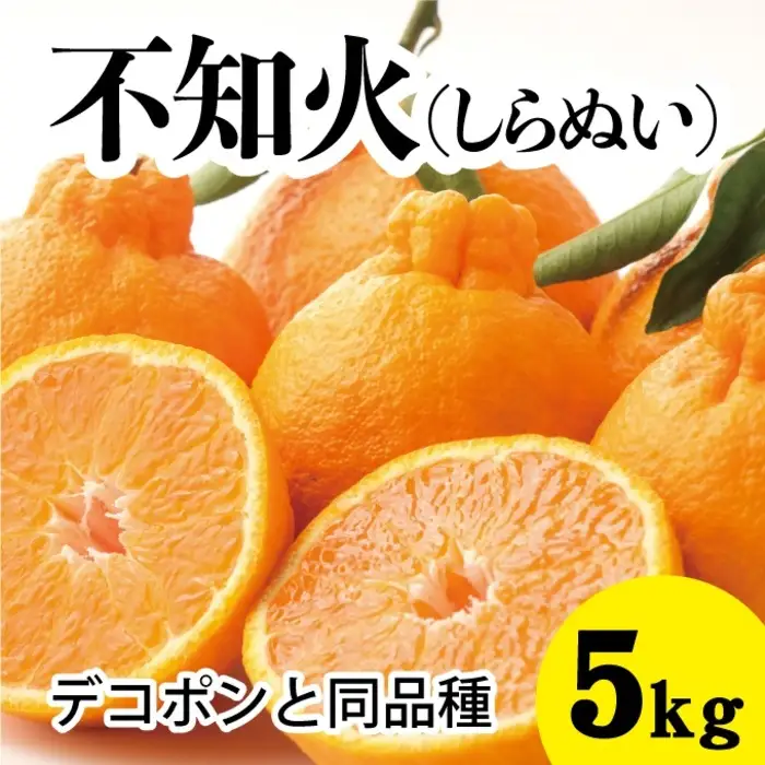 みかん 柑橘【先行受付】【2027年3月以降発送】甘さ抜群しらぬい！デコちゃん【デコポンと同品種】＜約5kg＞ 広島 三原 佐木島 鷺島みかんじま 017027