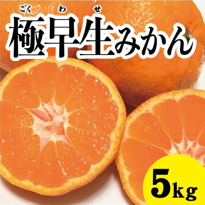 みかん 柑橘【先行受付】【2026年10月中旬以降発送】 甘さと酸味が絶妙！極早生 みかん 約5kg 三原 佐木島 017012