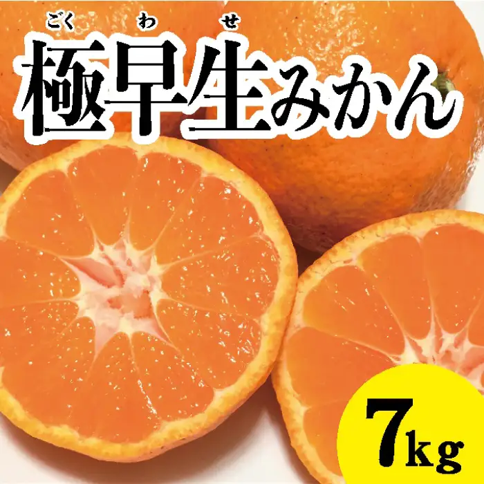 みかん 柑橘【先行受付】【2026年10月中旬以降発送】 甘さと酸味が絶妙！極早生 みかん 約7kg 三原 佐木島 017013