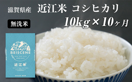 コシヒカリ お米 10kg 無洗米 定期10ヶ月 コシヒカリ