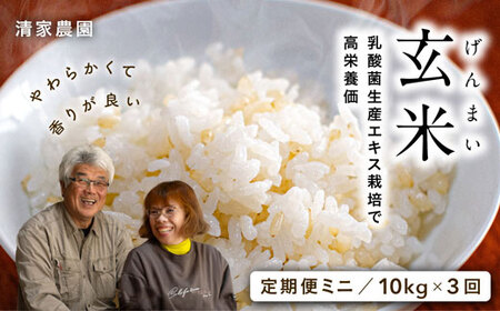 酵素が3.9倍！「乳酸菌生産エキス栽培」玄米 10kg×3回お届け 玄米