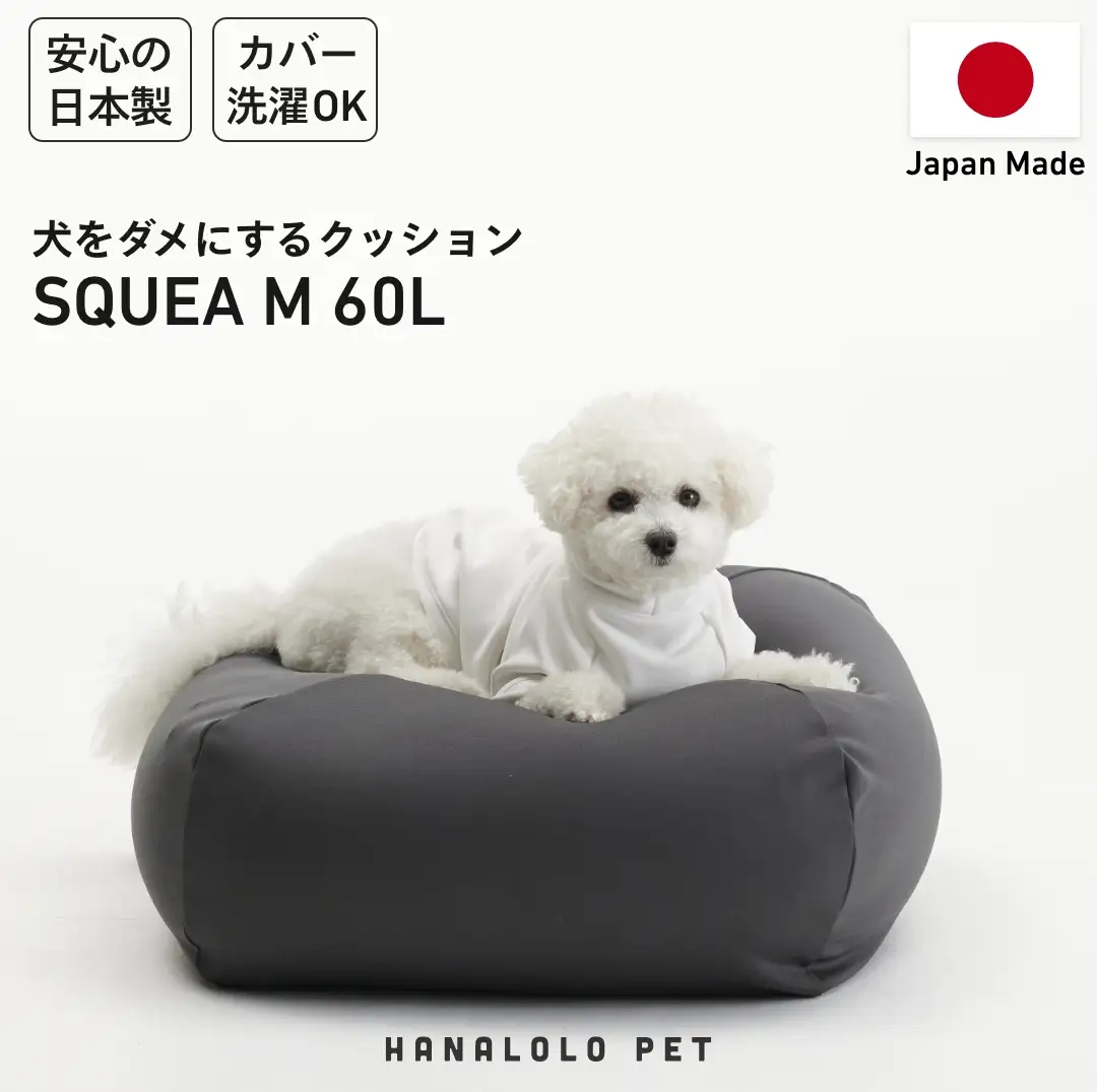 クッション ビーズクッション ペットクッション M カバー付 60L チャコールグレー 1個