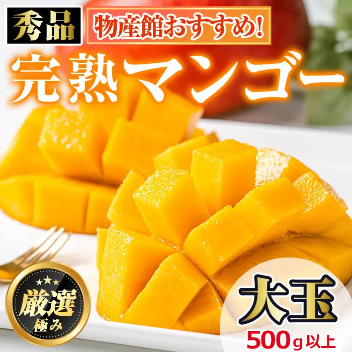 【0145942a】《先行予約受付中！2027年7月下旬頃までに発送》＜秀品・数量限定！＞南国鹿児島県産の太陽の恵み！完熟マンゴー(大玉1個・500g以上) 果物 フルーツ 果実 デザート 国産 冷蔵 【東串良物産館ルピノンの里】
