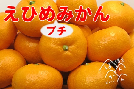 清家ばんかんビレッジの愛媛プチみかん2.5kg