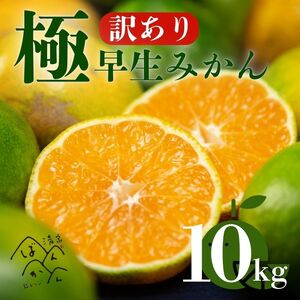 【訳あり】愛媛みかん （ 極早生 ） 10kg【発送時期：9月下旬から10月下旬】2S-Lサイズ サイズミックス 愛媛みかん 温州みかん 一番みかん 柑橘 みかん 愛媛県 愛南町 清家ばんかんビレッジ