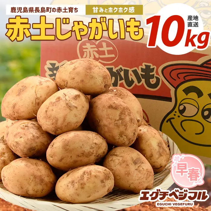 【先行予約】早春長島のジャガイモ(10kg)【エグチベジフル株式会社】eguchi-7021R8