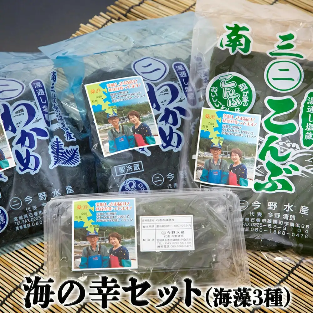 塩蔵わかめ・塩蔵こんぶセット 今野水産の海の幸 