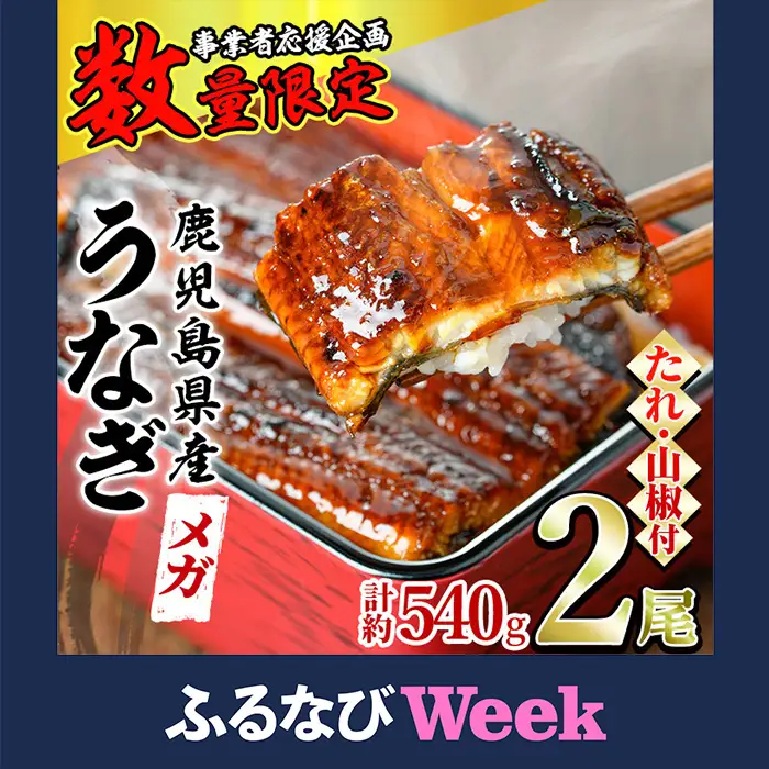 【ふるなびWEEK対象】＜数量限定・メガサイズ＞「養鰻業者応援」 うなぎ 蒲焼 (無頭)(2尾・計約540g・タレ、山椒付) 高級 ウナギ 鰻 国産 たれ 鹿児島 ふるさと 人気【アクアおおすみ】【0154355a】