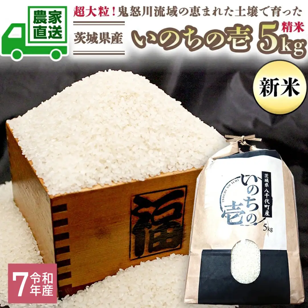 令和7年産 お米 いのちの壱 5kg 精米 単一原料米 茨城県産