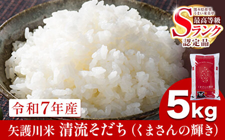 令和7年産 矢護川清流そだち(くまさんの輝き) 5kg 大津町矢護川おいしい米作り研究会 お米 熊本県 大津町《60日以内に出荷予定(土日祝除く)》