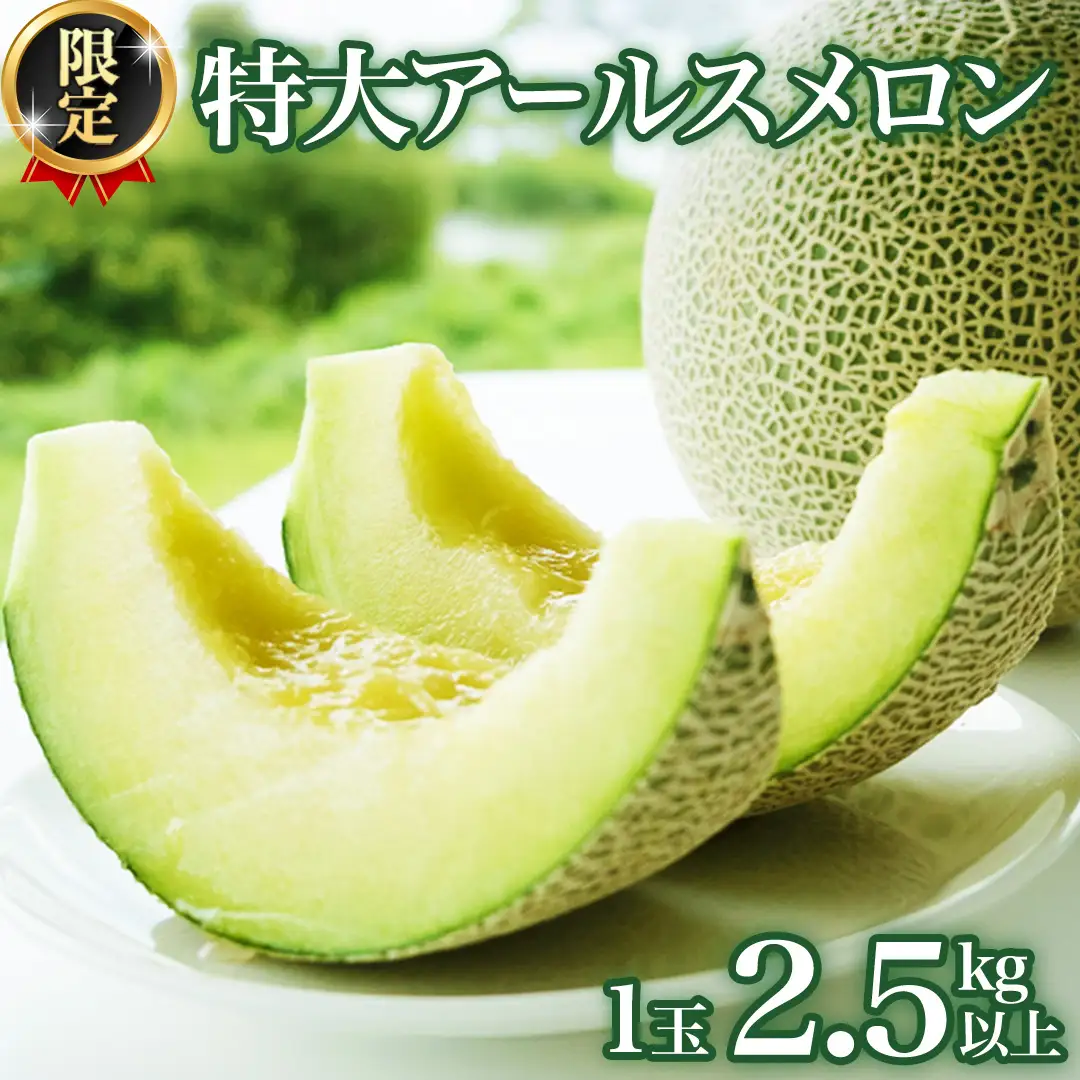 【2026年8月下旬発送開始】 季節 限定 ！ 甘さ満点 特大 アールスメロン 1個 箱 果物 フルーツ 農家直送 産直 青肉メロン 特産品 マスクメロン メロン くだもの 茨城 [BC005sa]