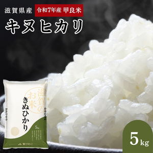 キヌヒカリ 白米 5kg 令和7年産 甲良米 キヌヒカリ