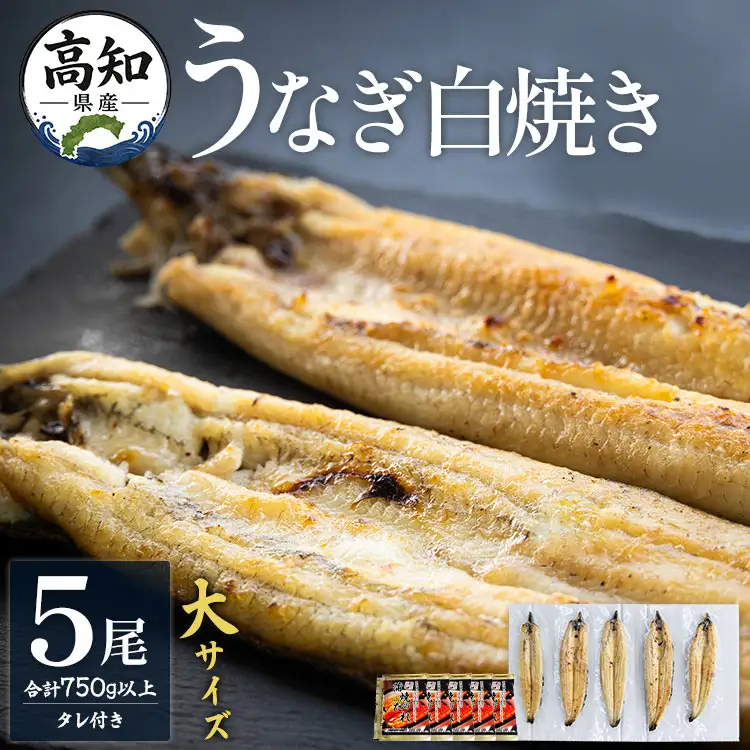 吉川水産 高知県産うなぎの白焼き 大サイズ(150～180g)×5尾 - タレ付き 鰻 ウナギ 国産 yw-0124