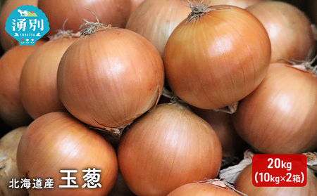 玉ねぎ 北海道産 野菜 玉ねぎ【20kg(10kg×2箱)】