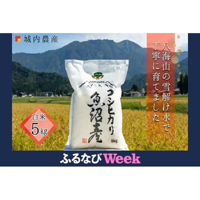 【ふるなびWEEK対象】南魚沼産コシヒカリ　白米５ｋｇ【５割減農薬栽培米】 城内農産 令和７年 | 米