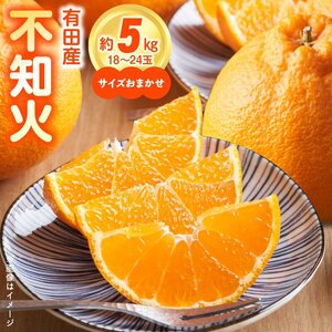 【2027年先行予約】和歌山県有田産 不知火 5kg ひとつひとつ手選別で厳選！生産者から直送_ZN6002n