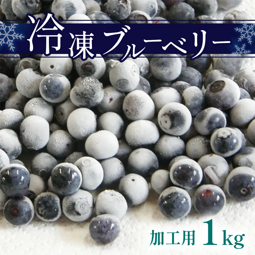 冷凍ブルーベリー (加工用)