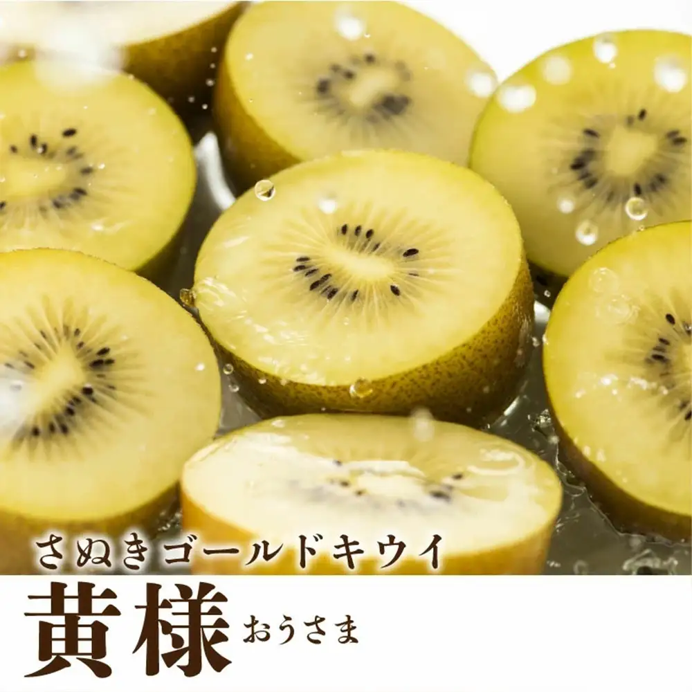 さぬきゴールドキウイ 「黄様(おうさま)」 大玉約3.2kg