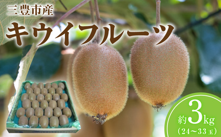 三豊市産キウイフルーツ 11,250円