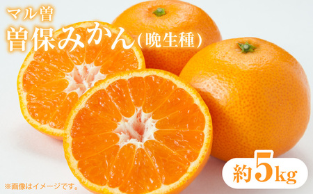 【マル曽】曽保みかん(晩生種)約5kg