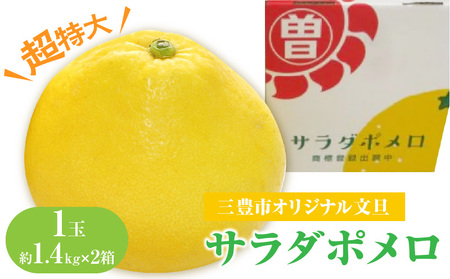 三豊市オリジナル文旦「サラダポメロ」 超特大