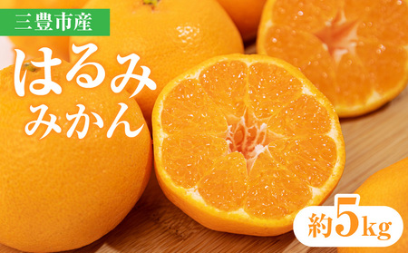 三豊市産はるみみかん 約5kg
