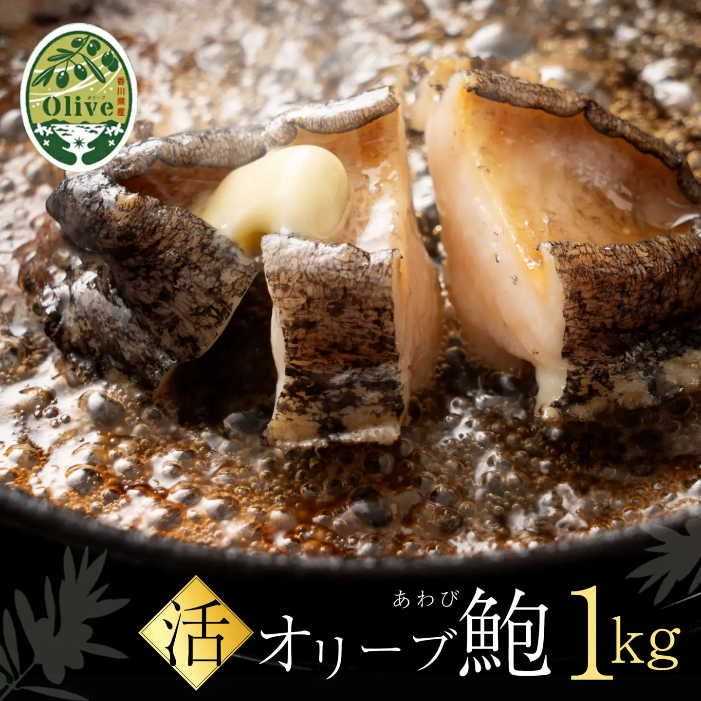【配送不可地域:北海道・東北・沖縄県・離島】オリーブあわび 約1kg(10～12個程度)