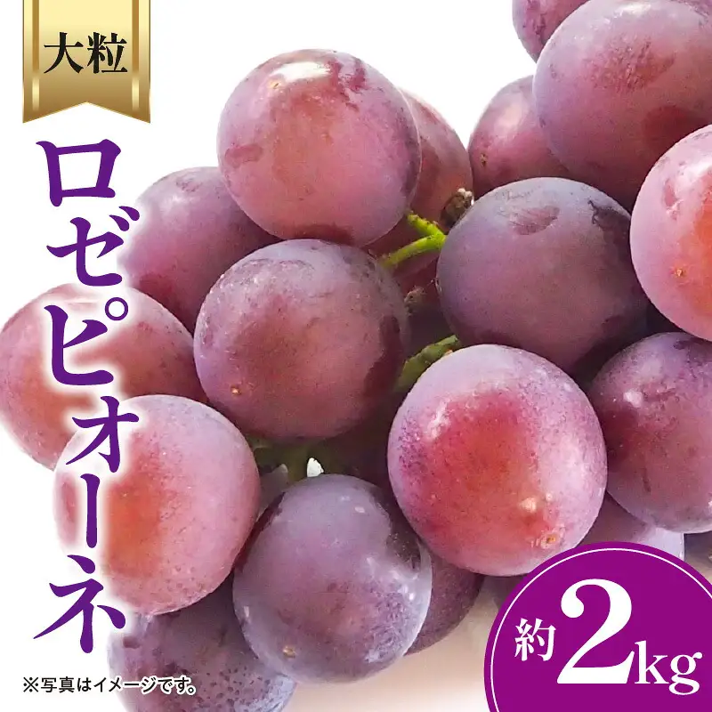 ロゼピオーネ 約2kg
