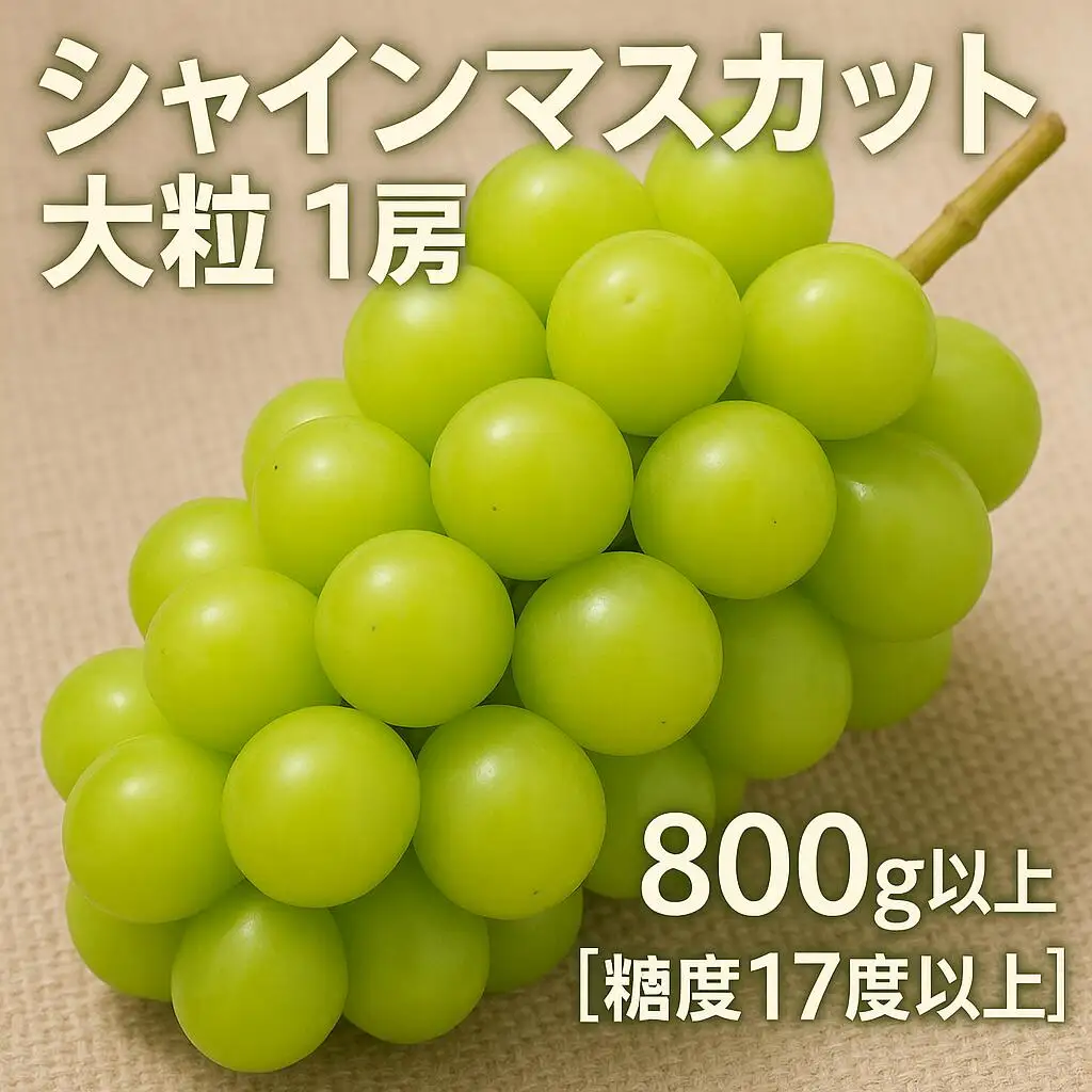 【8月中旬より発送】シャインマスカット大粒 1房【800g以上】【糖度17度以上】