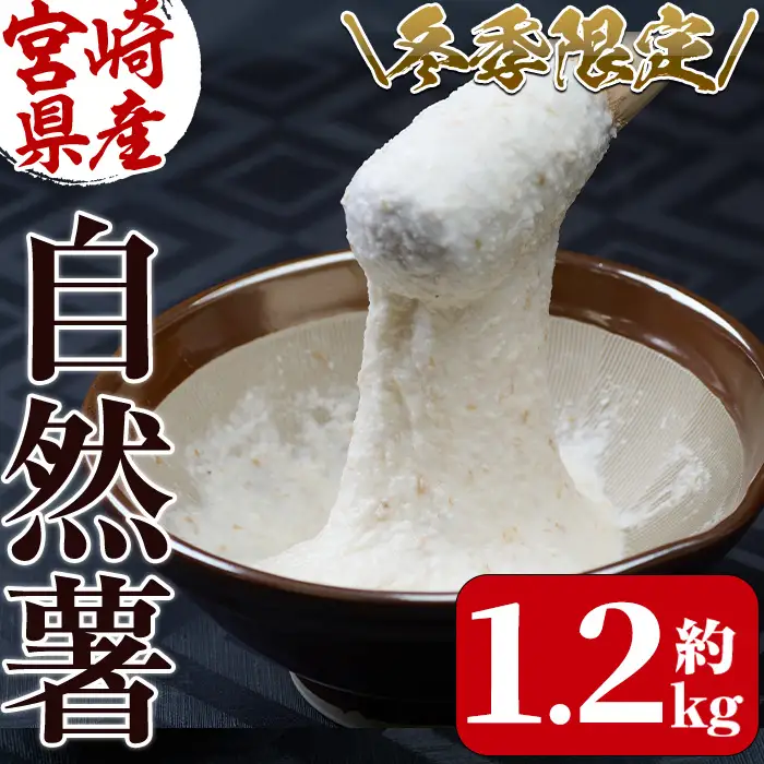 ＜先行予約受付中！2026年11月中旬から順次発送予定＞＜期間限定＞山菜の王者自然薯 (約1.2kg)  山芋 国産 【Y-1】【自然薯組合】