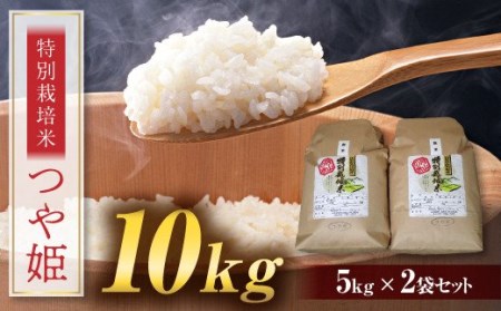 FYN9-110 つや姫 10kg (5kg×2) 山形県 西川町産 白米 ツヤ 甘み 旨み