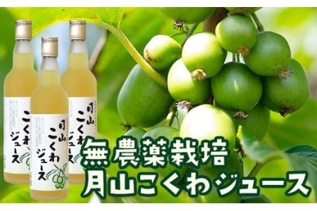 FYN9-179 月山こくわジュース 100％原液 さるなし コクワ 無農薬 酸味 山形県 西川町