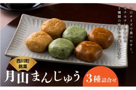 FYN9-278 和菓子 月山まんじゅう詰合せ３種 銘菓 和菓子