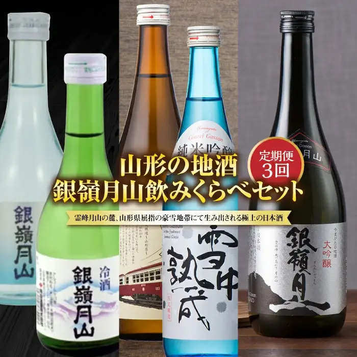 FYN6-584 【定期便3回】山形の地酒 銀嶺月山飲みくらべセット 山形県 西川町