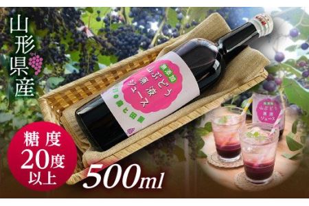 FYN9-342 【おいしい山形西川町】糖度20度以上！甘くフルーティーな山形県産山ぶどう原液ジュース 500ml×1本 ブドウ 100％ 飲料