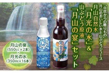 FYN9-425 月山自然水「月光の水」& 山ぶどう原液「月山の宴」詰合せ 詰め合わせ 山形県 西川町