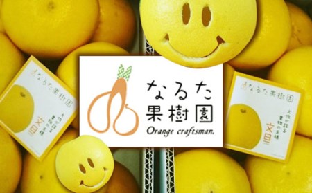 成田果樹園 土佐文旦 5kg 家庭用 文旦