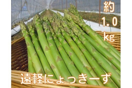  2027年 春アスパラ1kg ( ふるさと納税 アスパラガス グリーンアスパラ 野菜 健康食材 天ぷら 炒め物 パスタ サラダ 大容量 北海道 遠軽町 えんゆう農業協同組合 ) en01-00002