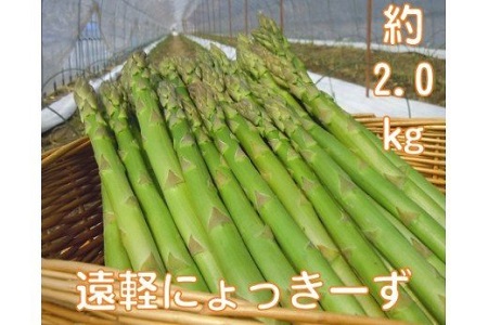  2027年 春アスパラ2kg ( ふるさと納税 アスパラガス グリーンアスパラ 野菜 健康食材 天ぷら 炒め物 パスタ サラダ 大容量 北海道 遠軽町 えんゆう農業協同組合 ) en01-00003