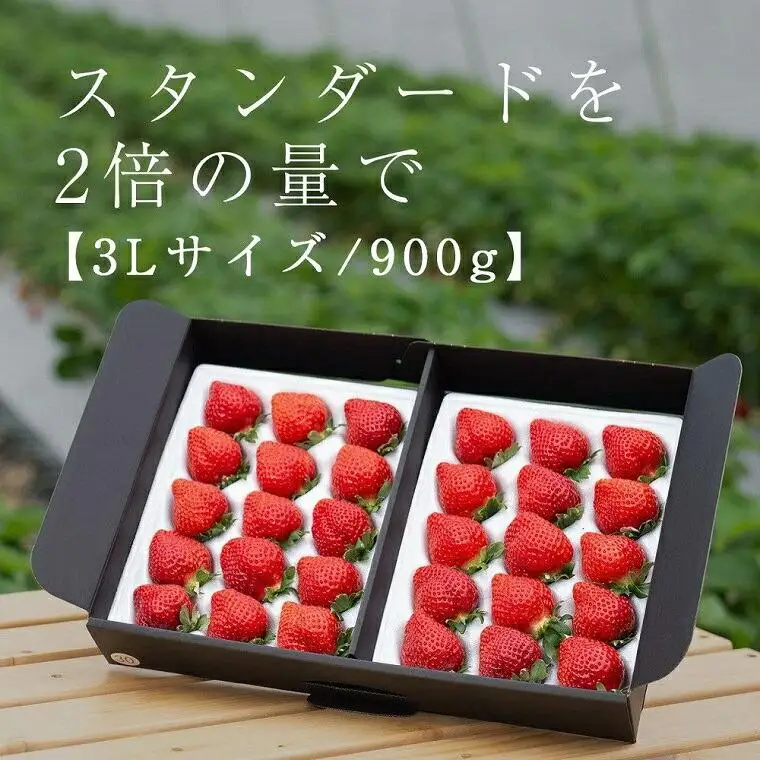【2027年1～4月出荷分予約販売】たっぷり2倍の量武下さんちの「完熟あまおう」3Lサイズ 900g あまおう