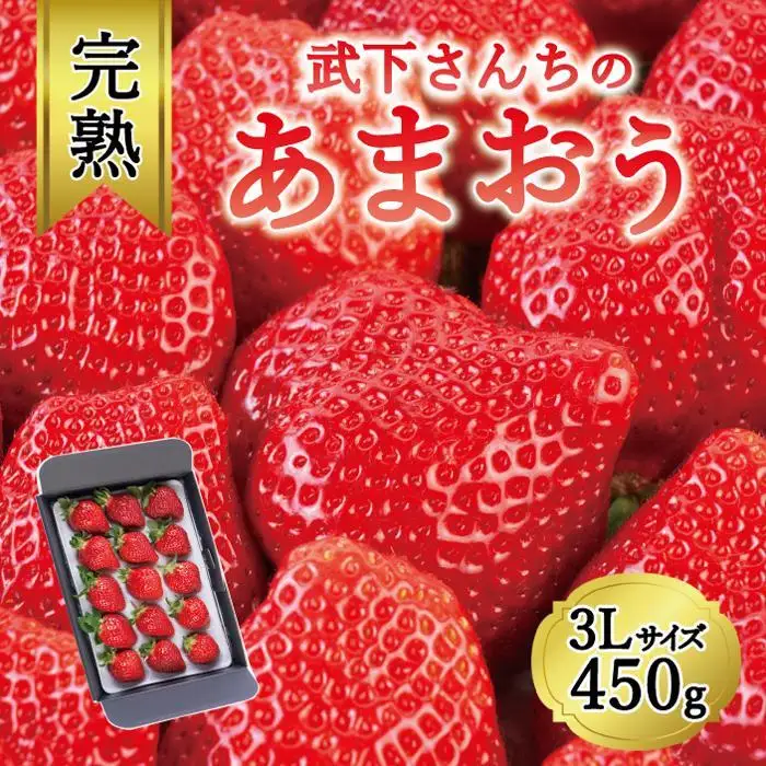 【2027年1～4月出荷分予約販売】武下さんちの「完熟あまおう」3Lサイズ 450g 産直 あまおう