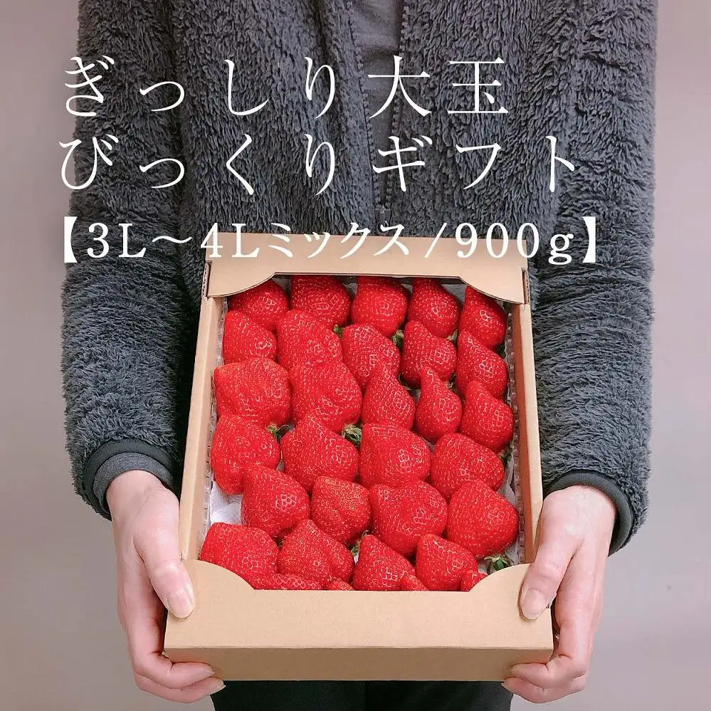 【2027年1月～4月出荷分予約販売】★身近な人間関係のお祝いに★「完熟あまおう」3L～4Lミックス詰め合わせ 900g入り