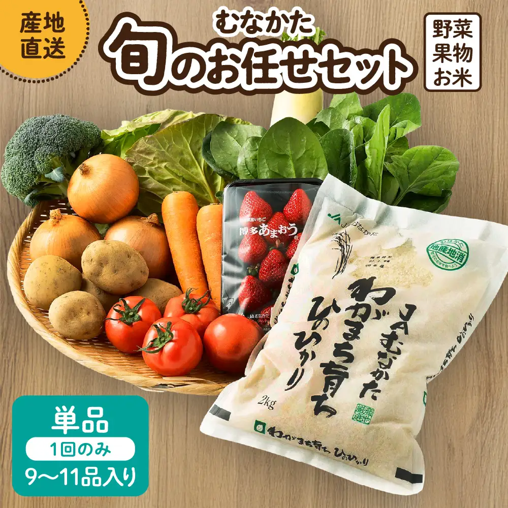 【9～11品】むなかた旬のお任せセット 野菜 フルーツ お米 _HA0263 | 詰め合わせ